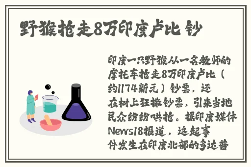 纳西妲坐旅行者的胡萝卜蘑菇